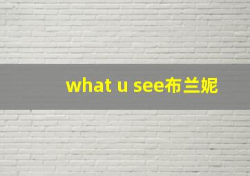 what u see布兰妮